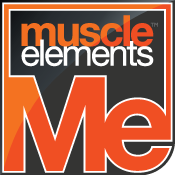 MUSCLE ELEMENTS